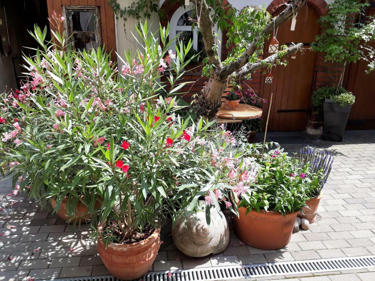 Apartment Zeitreise เควดลินบวร์ก ภายนอก รูปภาพ