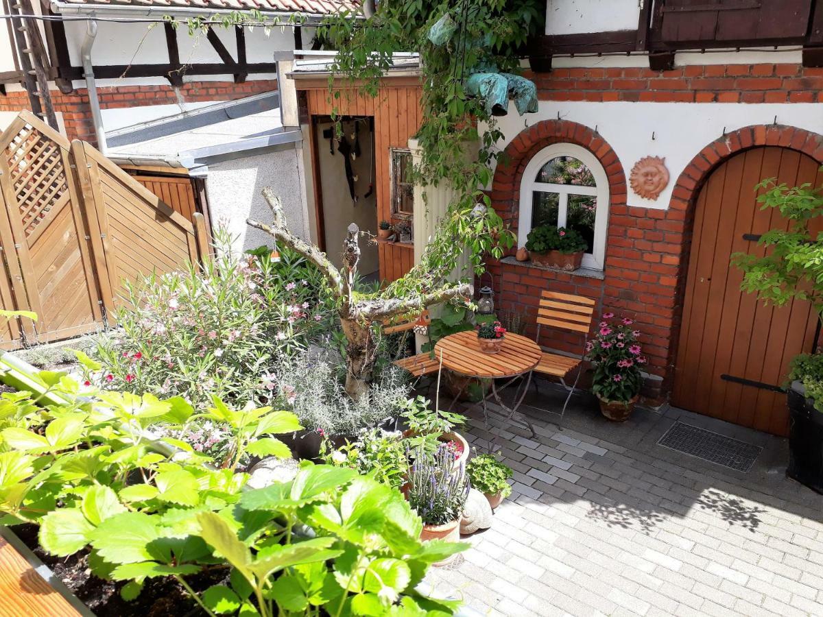 Apartment Zeitreise เควดลินบวร์ก ภายนอก รูปภาพ