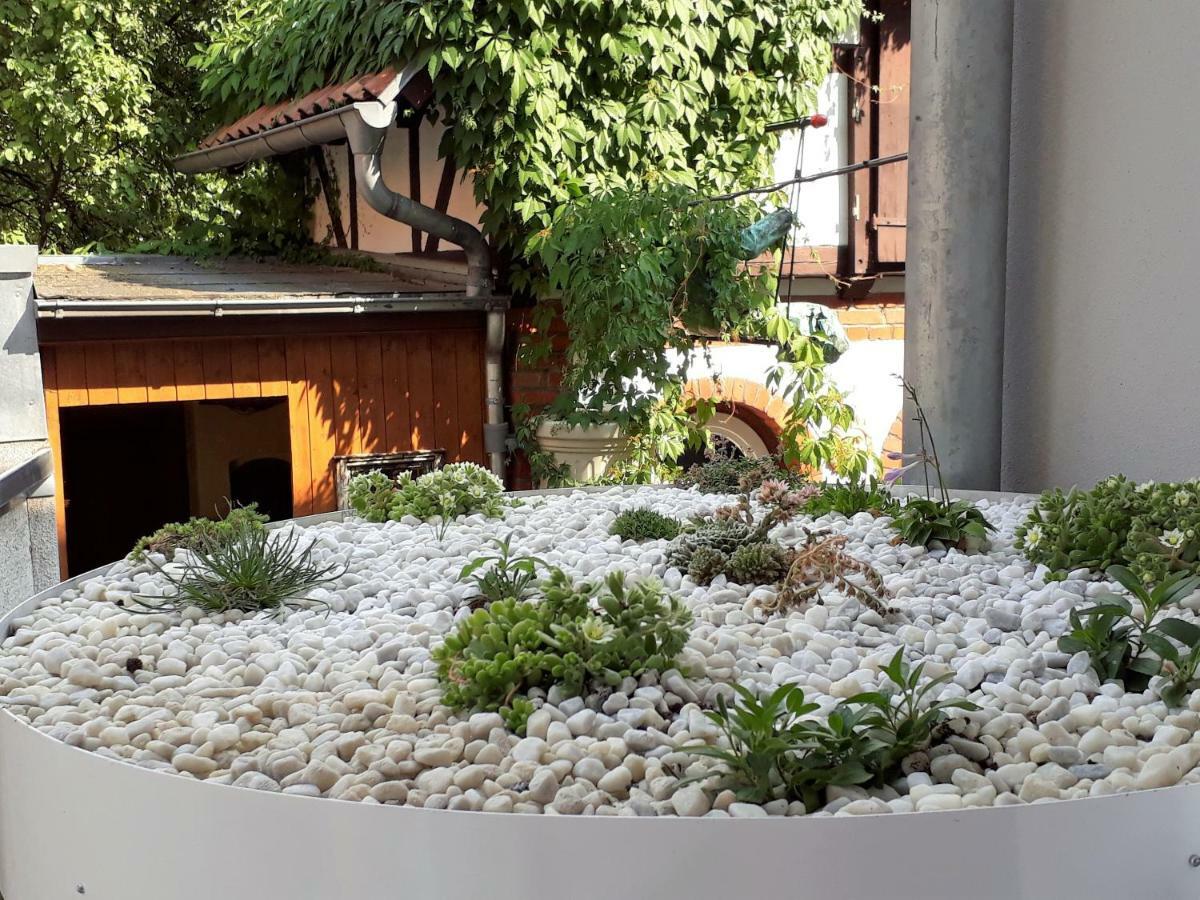 Apartment Zeitreise เควดลินบวร์ก ภายนอก รูปภาพ